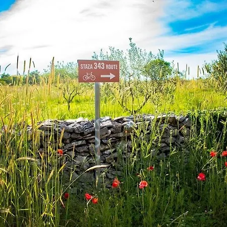 Sea View Cala Royal Villa
